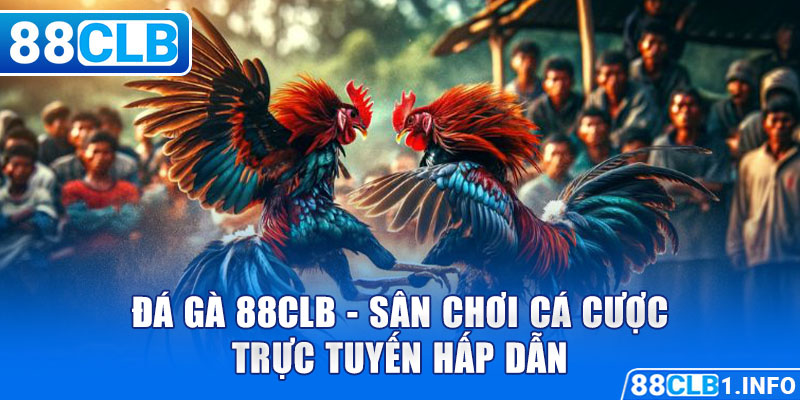 Đá Gà 88CLB - Sân chơi cá cược trực tuyến hấp dẫn