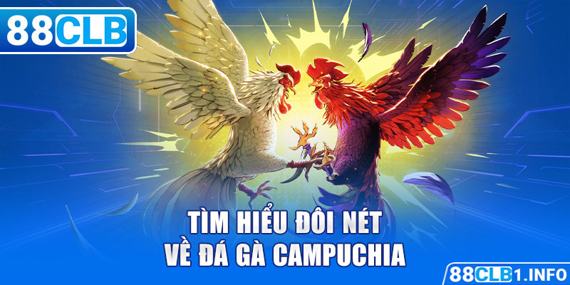 Tìm hiểu đôi nét về Đá Gà Campuchia