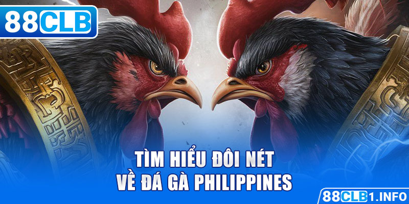 Tìm hiểu đôi nét về Đá Gà Philippines