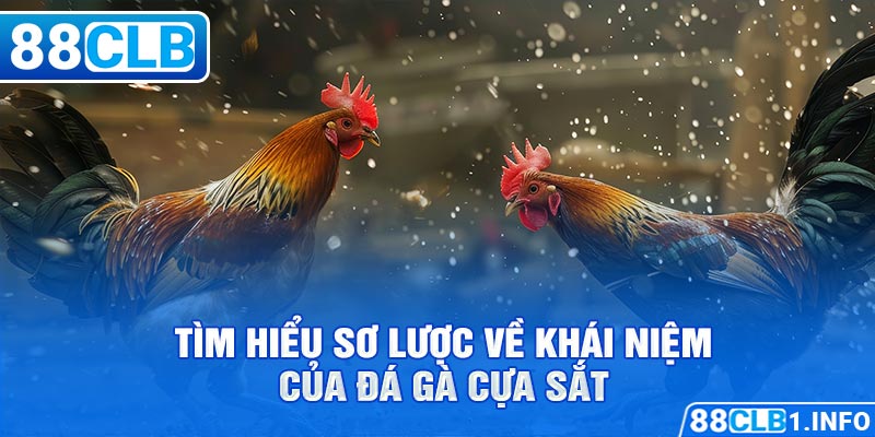 Tìm hiểu sơ lược về khái niệm của đá gà cựa sắt