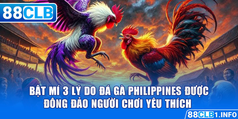 Bật mí 3 lý do Đá Gà Philippines được đông đảo người chơi yêu thích