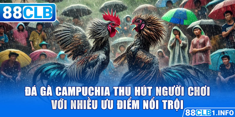 Đá Gà Campuchia thu hút người chơi với nhiều ưu điểm nổi trội