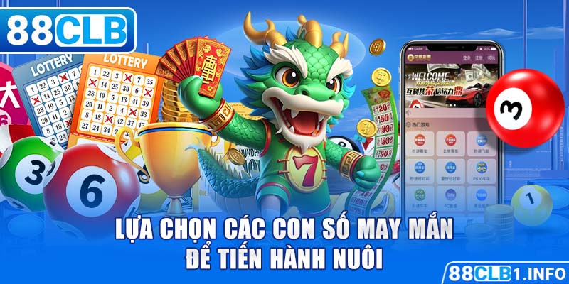 Lựa chọn các con số may mắn để tiến hành nuôi