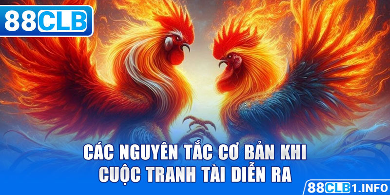 Các nguyên tắc cơ bản khi cuộc tranh tài diễn ra