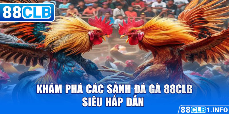 Khám phá các sảnh Đá Gà 88CLB siêu hấp dẫn 