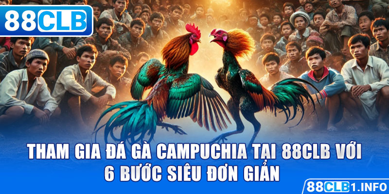 Tham gia Đá Gà Campuchia tại 88CLB với 6 bước siêu đơn giản 