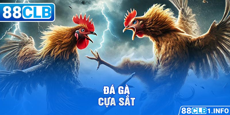 Đá gà cựa sắt là loại hình giải trí nhận được sự quan tâm của nhiều tân thủ trong năm 2024