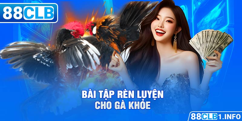 Bài tập rèn luyện cho gà khỏe