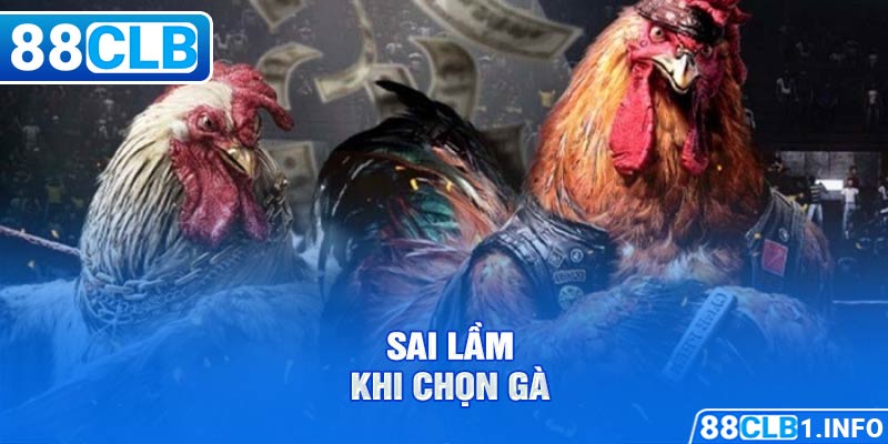 Những sai lầm khi chọn gà